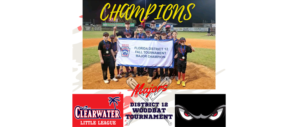 Majors - District 12 Wood bat Tournament Champions!