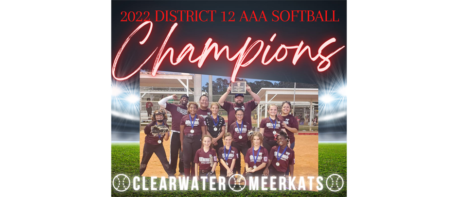 2022 AAA Softball District 12 Champions!