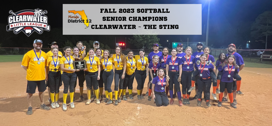 D12 Softball Senior Champions -The Sting 