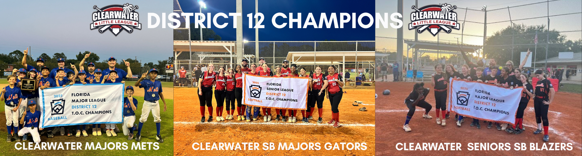 DISTRICT 12 CHAMPIONS